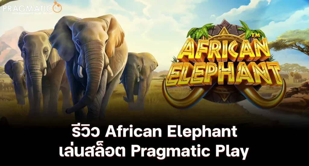 รีวิว African Elephant เล่นสล็อต Pragmatic Play